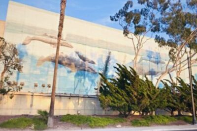 Whale wall in South Redondo Beach